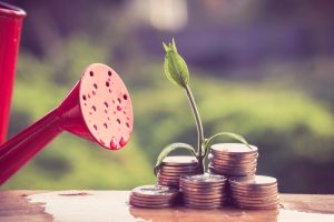 investimento