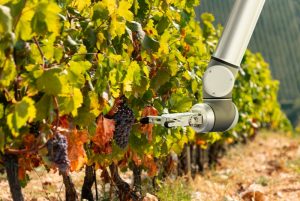 Agricultura Inteligente