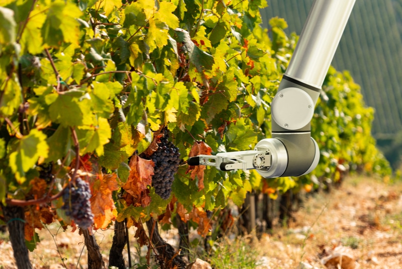 Agricultura Inteligente
