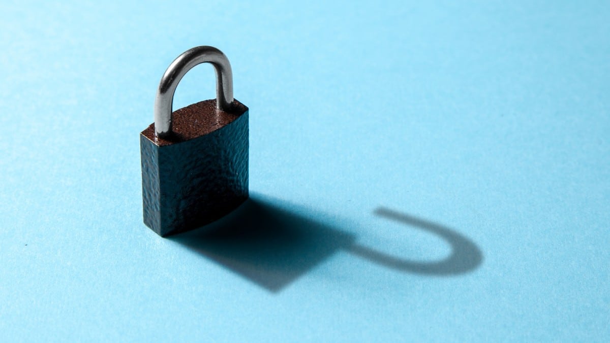 commodities, redbelt