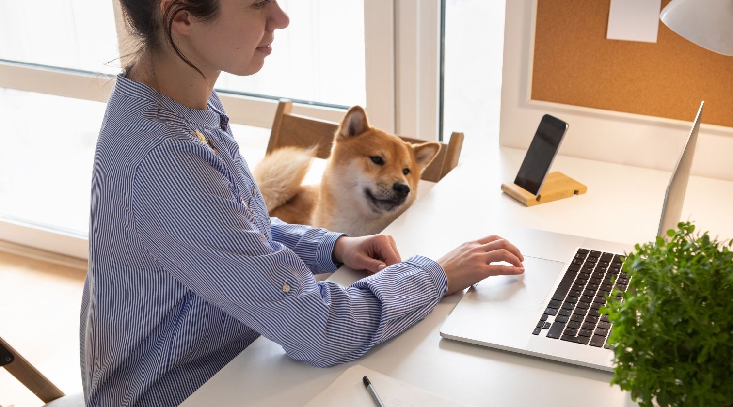 trabalho remoto home office tecnologia pet