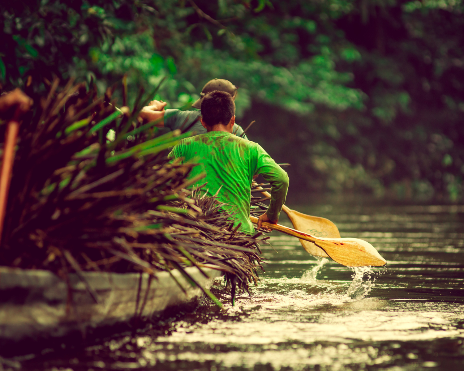 amazônia, ribeirinhos, canoa