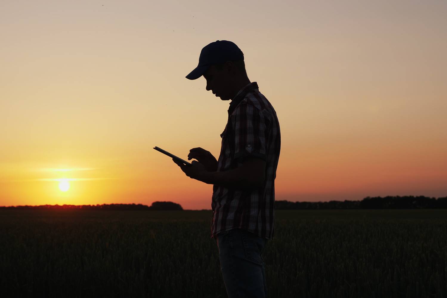 agronegócio, agricultor, campo, bioenergia
