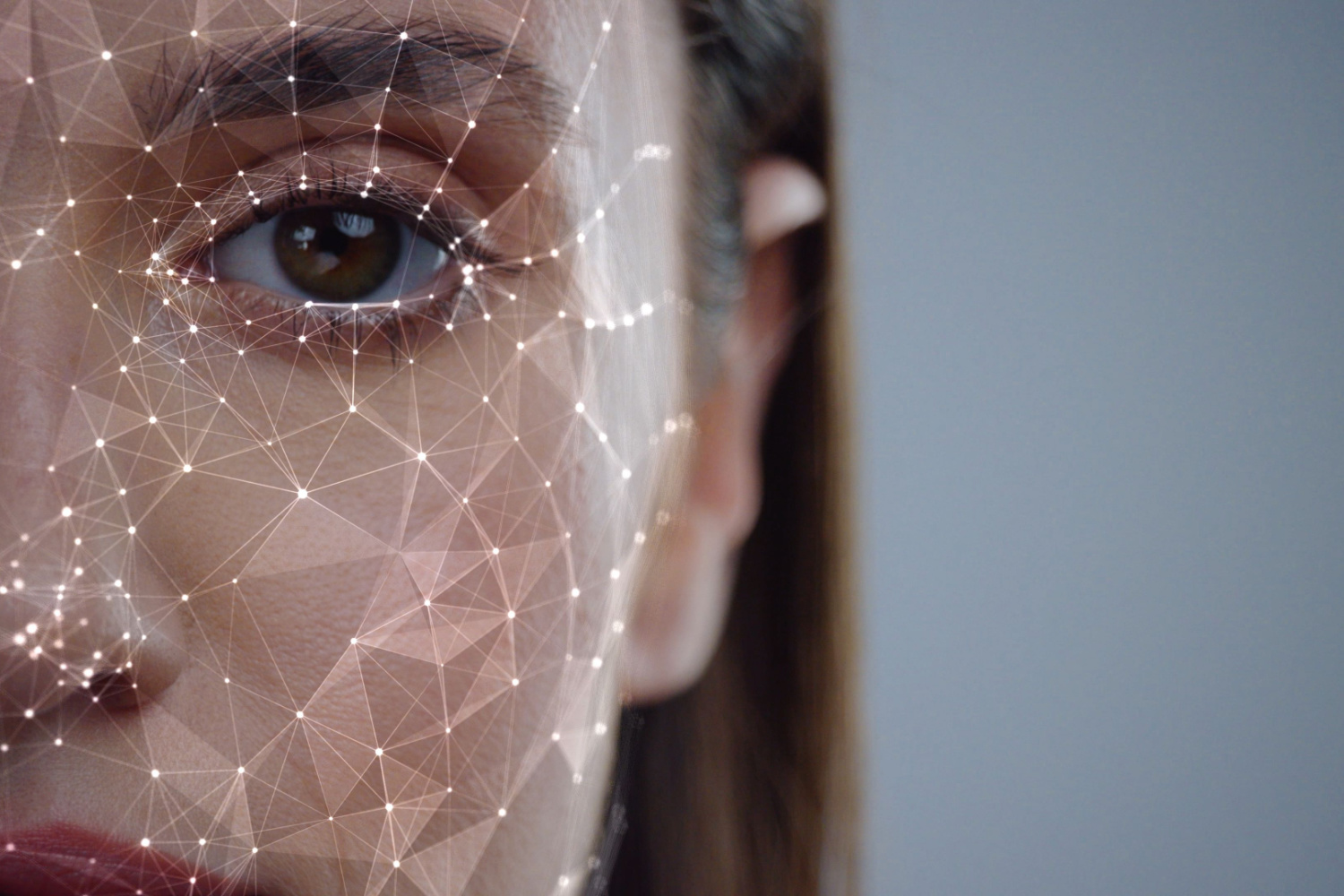 biometria facial, reconhecimento facial, biometria, RPE