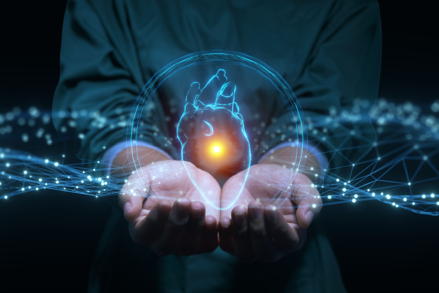 coração humano, gêmeo digital