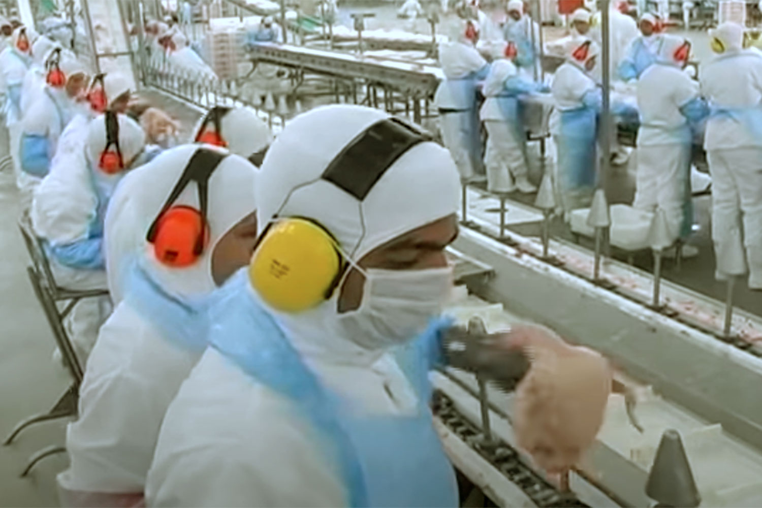 Detalhe de uma linha de produção de aves da Sadia - Foto: reprodução Matemática