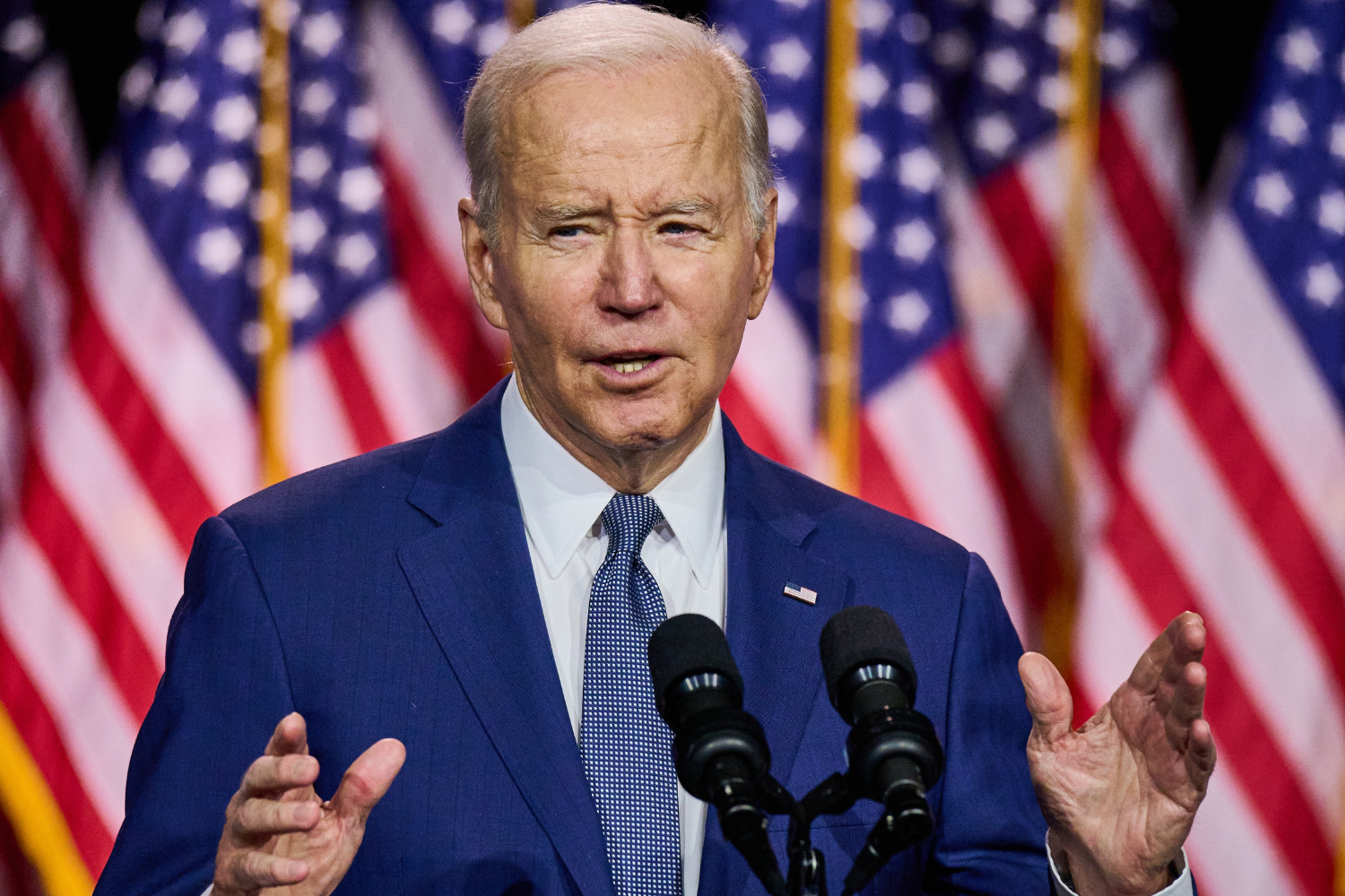 Joe Biden, nova hampshire