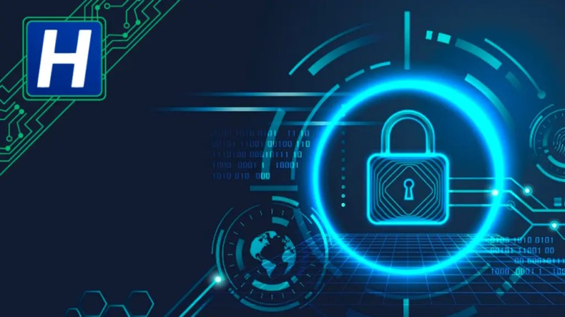 Divulgação / Hillstone