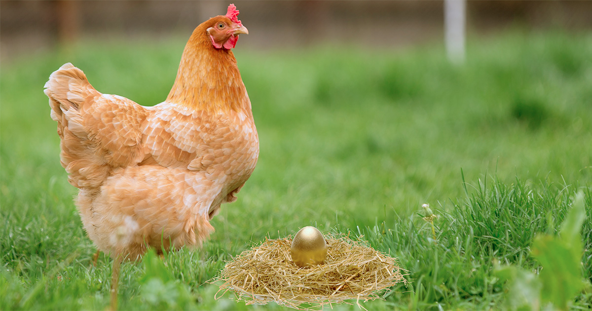 A fábula atribuída a Esopo pode ajudar em uma implantação consciente dessa tecnologia (Imagem: Paulo Silvestre/Creative Commons)