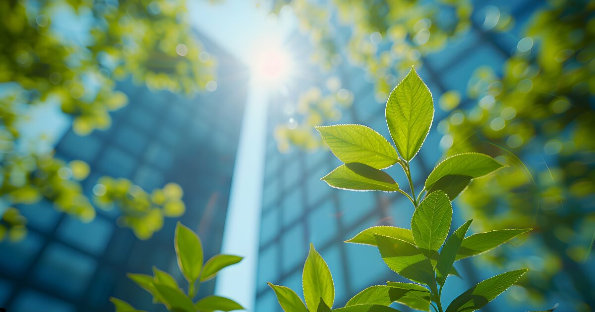 Imagem mostrando uma planta verde com folhas iluminadas pela luz solar, em primeiro plano, destacando o conceito de sustentabilidade ou meio ambiente. Ao fundo, em desfoque, aparecem prédios altos com fachadas de vidro refletindo a luz do sol, sugerindo a ideia de integração entre a natureza e a arquitetura urbana moderna (negócios, impacto ambiental)