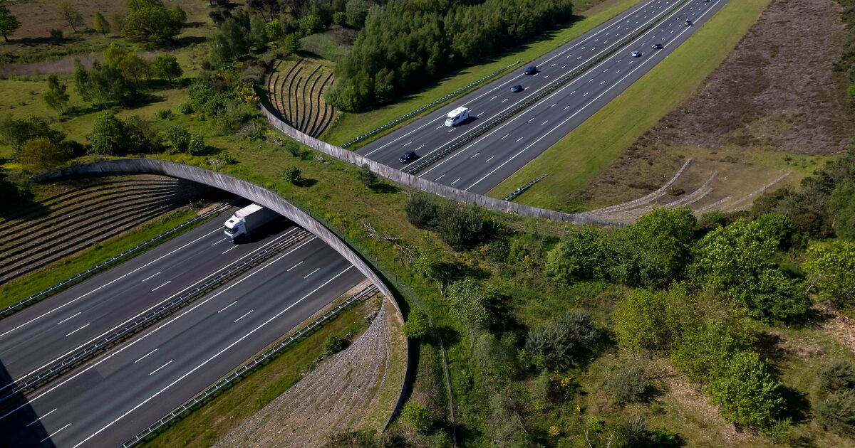 Imagem aérea de uma rodovia com múltiplas faixas de tráfego em ambos os sentidos, atravessada por uma ponte verde para a travessia segura de animais silvestres. A ponte é coberta por vegetação e integra-se à paisagem natural ao redor, conectando áreas de mata dos dois lados da estrada. Vários veículos estão em trânsito nas pistas, e a região ao redor é composta por áreas verdes com árvores e vegetação rasteira (biodiversidade)