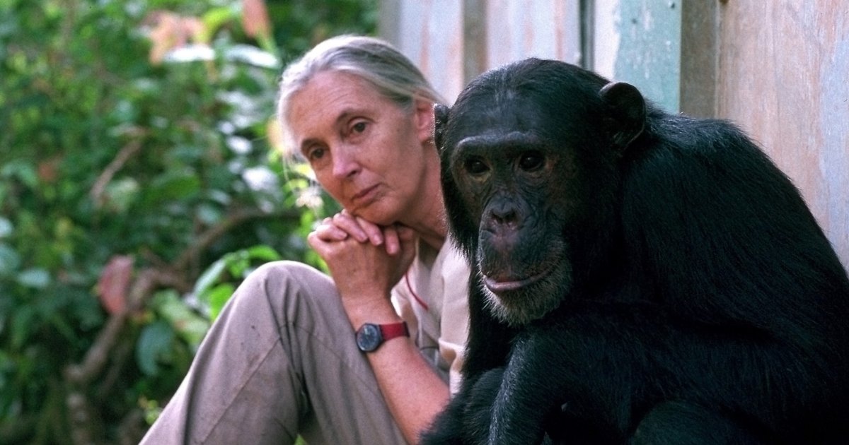 Jane Goodall